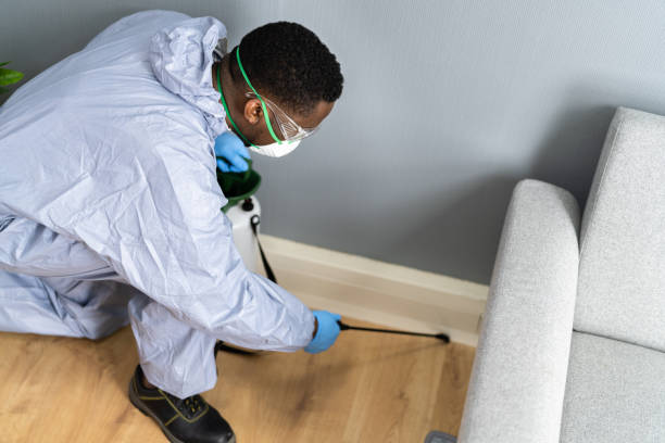 Best Fumigation Services  in Sparta, MI